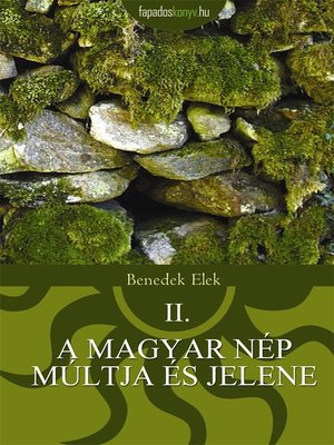 cover image of A magyar nép múltja és jelene 2.